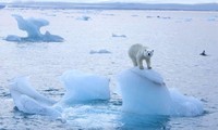 22 апреля откроется онлайн-саммит по вопросам изменения климата