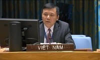 Вьетнам призвал стороны принять предложенное ООН мирное решение по Йемену 