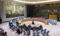 Открылась 48-я сессия Совета ООН по правам человека 