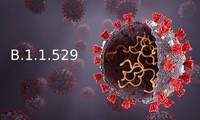 Вариант коронавируса «омикрон» (B.1.1.529), появившийся в ЮАР, вызывает озабоченность во всем мире