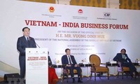 Прошел вьетнамо-индийский бизнес-форум 