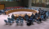Вьетнам внес значительный вклад в работу Совета безопасности ООН 