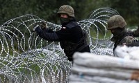 Польша начала строительство стены на границе с Беларусью
