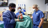 Умер американец, которому впервые в мире пересадили сердце генно-модифицированной свиньи