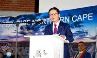 Вьетнам изучает возможность активизации торгово-инвестиционного бизнеса в ЮАР