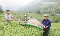 В провинции Шонла модернизируют деревню и повышают культурный уровень крестьянства