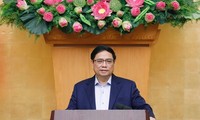 Премьер-министр Фам Минь Тинь председательствовал на очередном ноябрьском заседании правительства 
