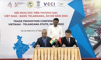 Индия проводит политику поощрения и привлечения вьетнамских инвесторов