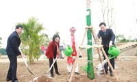 Во Вьетнаме началась новогодняя кампания посадки деревьев 
