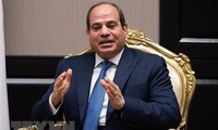 Египет выступает за поиск мирного решения российско-украинского конфликта