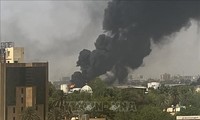 Лига арабских государств призвала к немедленному прекращению огня в Судане