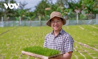 Впервые провинция Куангчи экспортировала рис в Европу