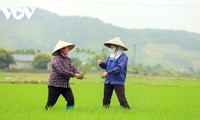 Счастливые крестьяне в горной общине Бинькхе провинции Куангнинь