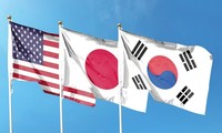 США,  Япония и Южная Корея намерены обсудить политику в отношении КНДР