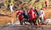 Организация Объединенных Наций призвала к быстрому преодолению последствий наводнения в Ливии
