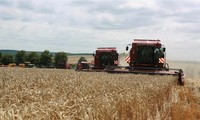 Украина планирует подать в суд на Польшу, Венгрию и Словакию в связи с запретом на импорт сельскохозяйственной продукции
