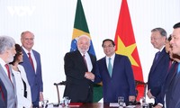 Вьетнам и Бразилия выпустили совместный пресс-релиз
