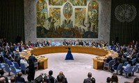 Совет безопасности ООН принял резолюцию о прекращении огня в Газе
