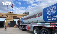 800 грузов помощи поступило в сектор Газа за четыре дня прекращения огня