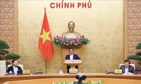 Премьер-министр Фам Минь Тинь председательствовал на ноябрьском правительственном заседании