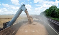 Некоторые члены ЕС запросили ввести пошлину на импорт украинского зерна 