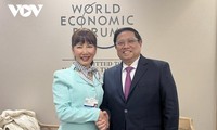 Премьер-министр Фам Минь Чинь принял руководителей многих ведущих мировых корпораций 