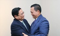Премьер-министр Фам Минь Тинь провел встречи с руководителями стран и международных организаций в Давосе