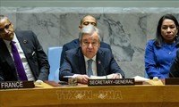 В Совбезе ООН обсудили продовольственную безопасность и климатическую нестабильность  