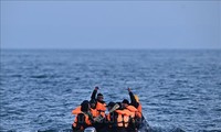 ЕС и Великобритания завершили переговоры по решению проблемы нелегальной миграции