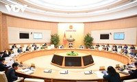 Премьер-министр Фам Минь Тинь провёл февральское заседание правительства по вопросам законотворчества 