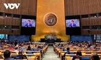 Генеральная Ассамблея ООН приняла предложенный Вьетнамом проект резолюции о Международном дне игры