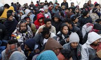 Европарламент принял новый пакт о миграции и предоставлении убежища