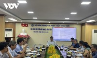 Реализация пилотной модели Проекта по выращиванию высококачественного риса с низким уровнем выбросов на 1 миллионе гектаров в 5 местностях Вьетнама
