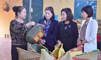 Выделение финансов для принадлежащих женщинам малых и средних предприятий во Вьетнаме