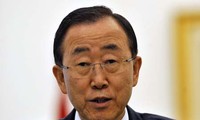 UN chief urges Syria to implement peace plan 