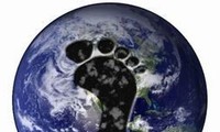 Go Green International Organization's project on calculting carbon footprints
