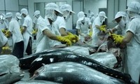 Vietnam’s tuna exporters eye Middle East