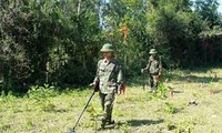 Vietnam, US work on resolving consequences of unexploded ordnance 