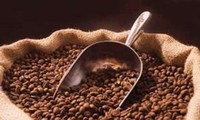 Vietnam becomes world’s number 1 coffee exporter