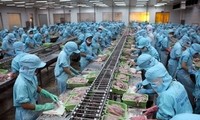 Vietnam’s economy to recover in Q4 