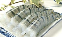 Opposition to anti-subsidy duties on Vietnamese shrimp continues