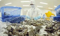 US announces no Vietnam shrimp dumping