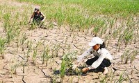 Vietnam committed to climate change response