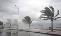 Vietnam's northern coast copes with typhoon