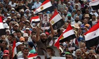 Egypt forms a committee to investigate violence cases