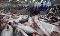 New US farm bill hurts Vietnamese fish export