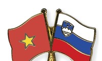 Congratulation letter to mark 20th anniversary of Vietnam-Slovenia diplomatic ties