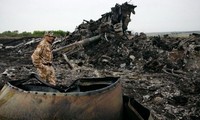 Russia: An independent and transparent international investigation into crash of MH17 is needed 