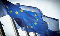 Eurozone economic growth slows after Brexit