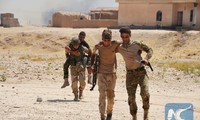 Iraq frees 4 villages in south of Mosul from IS